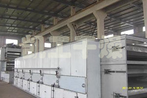 DWT系列脫水蔬菜干燥機